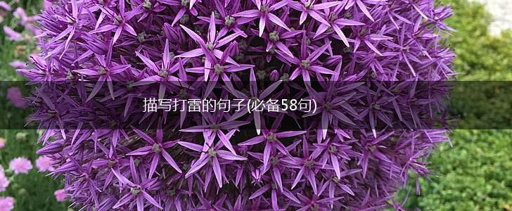 描写打雷的句子(必备58句),第1张