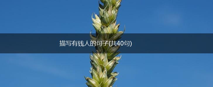 描写有钱人的句子(共40句),第1张