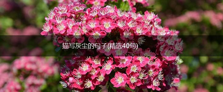 描写灰尘的句子(精选40句),第1张