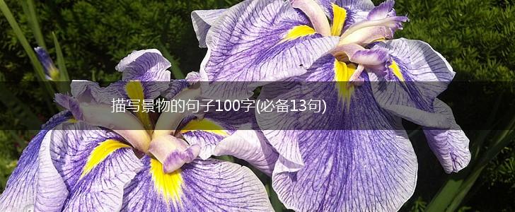 描写景物的句子100字(必备13句),第1张