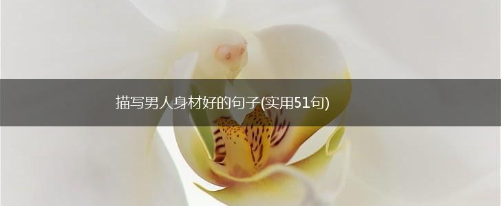 描写男人身材好的句子(实用51句),第1张