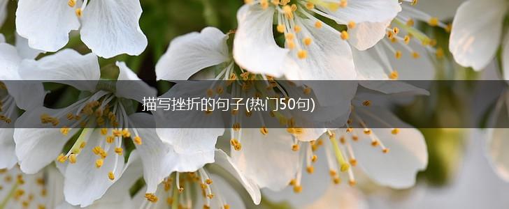 描写挫折的句子(热门50句),第1张
