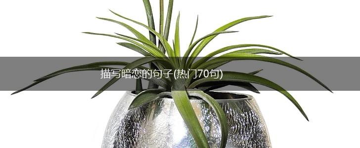 描写暗恋的句子(热门70句),第1张