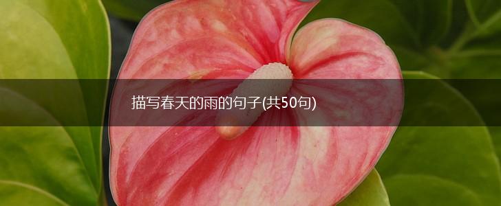 描写春天的雨的句子(共50句),第1张