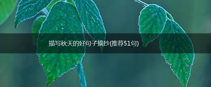 描写秋天的好句子摘抄(推荐51句),第1张