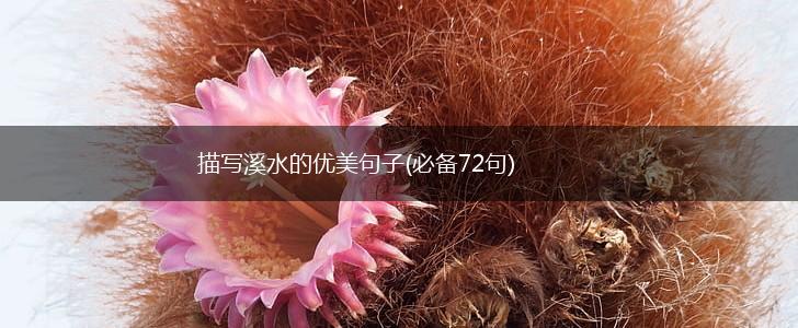 描写溪水的优美句子(必备72句),第1张