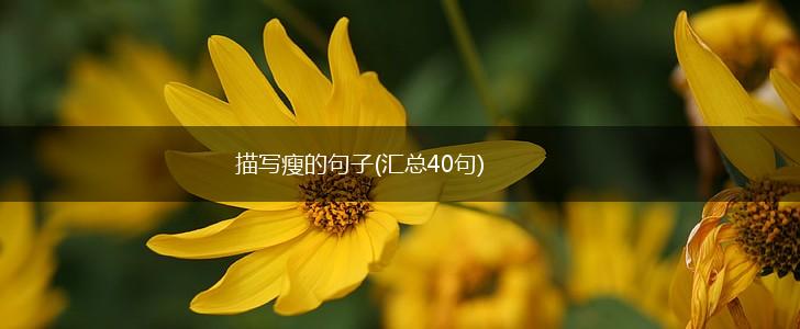描写瘦的句子(汇总40句),第1张
