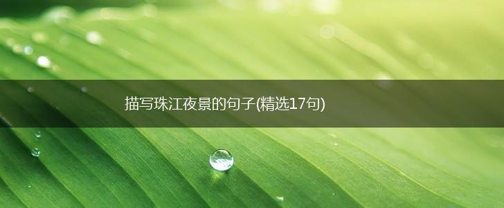 描写珠江夜景的句子(精选17句),第1张