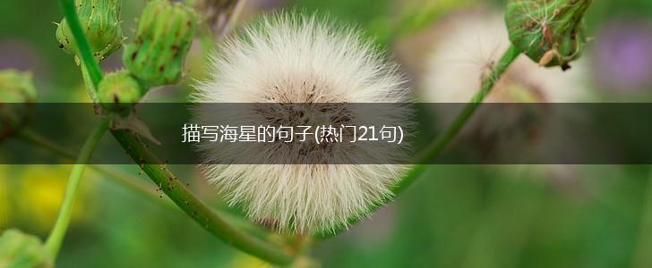 描写海星的句子(热门21句),第1张