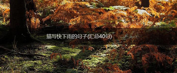 描写快下雨的句子(汇总40句),第1张