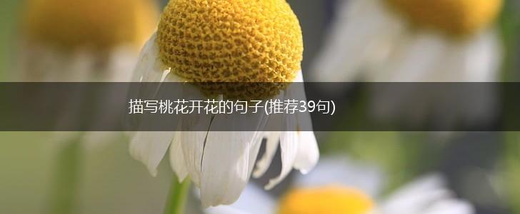 描写桃花开花的句子(推荐39句),第1张