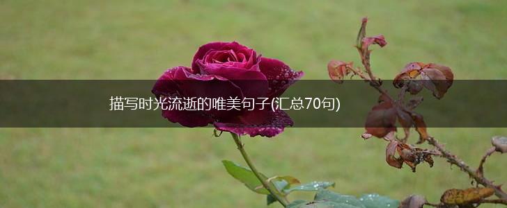 描写时光流逝的唯美句子(汇总70句),第1张