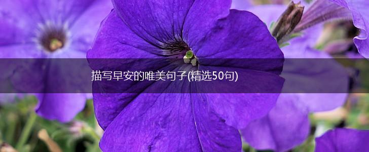 描写早安的唯美句子(精选50句),第1张