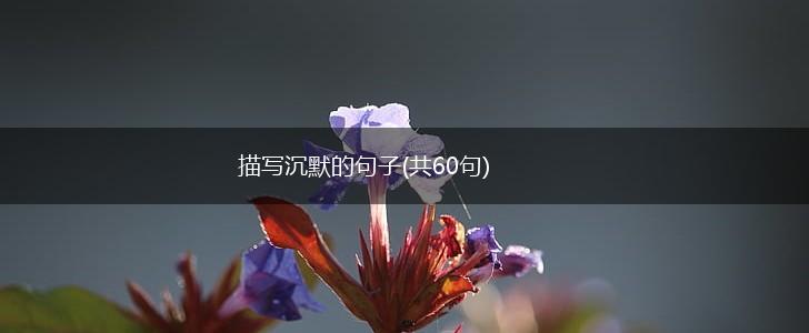 描写沉默的句子(共60句),第1张