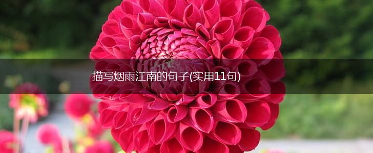 描写烟雨江南的句子(实用11句),第1张