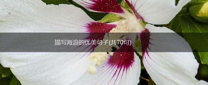描写海浪的优美句子(共70句),第1张