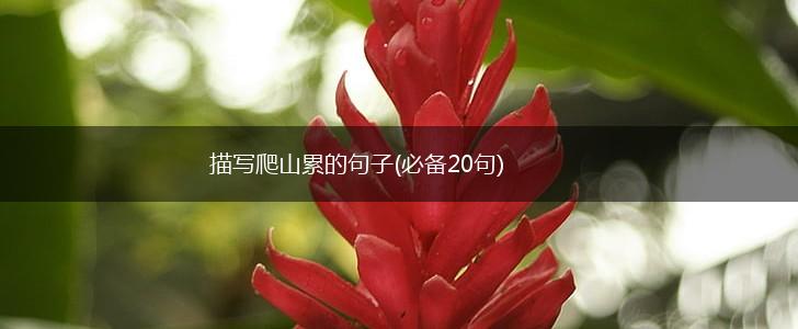 描写爬山累的句子(必备20句),第1张