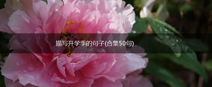描写开学季的句子(合集50句),第1张