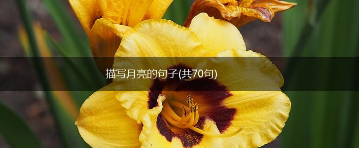 描写月亮的句子(共70句),第1张
