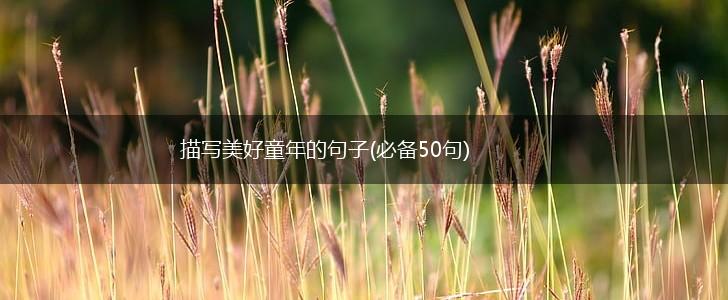 描写美好童年的句子(必备50句),第1张