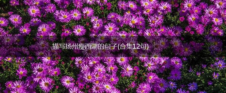 描写扬州瘦西湖的句子(合集12句),第1张