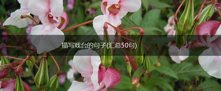 描写戏台的句子(汇总50句),第1张
