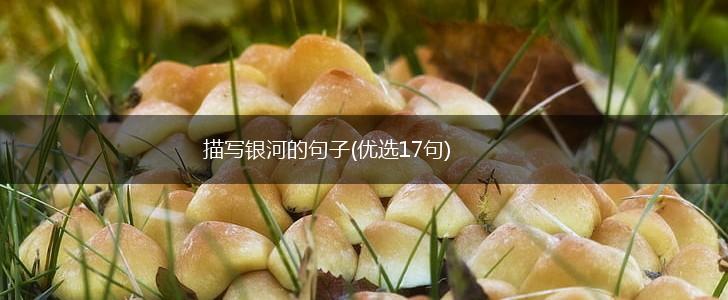 描写银河的句子(优选17句),第1张