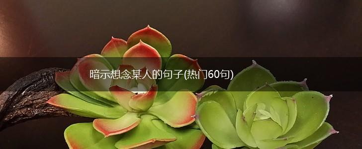 暗示想念某人的句子(热门60句),第1张
