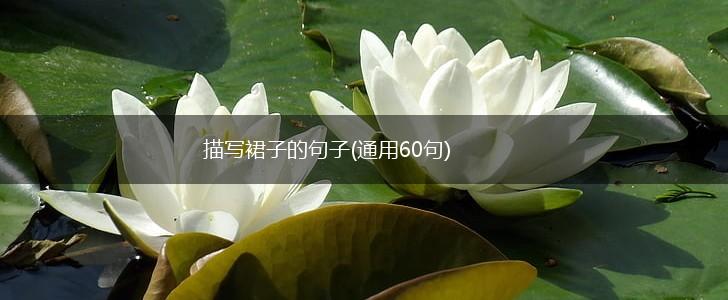 描写裙子的句子(通用60句),第1张