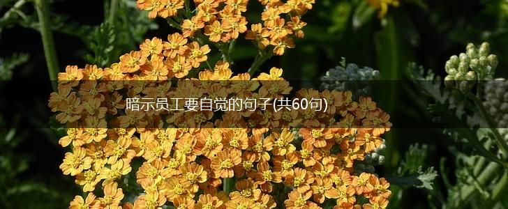 暗示员工要自觉的句子(共60句),第1张
