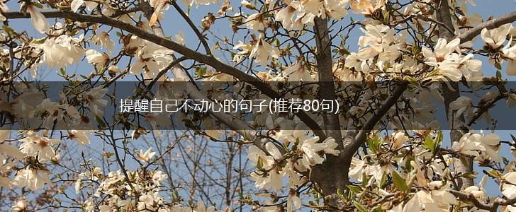 提醒自己不动心的句子(推荐80句),第1张