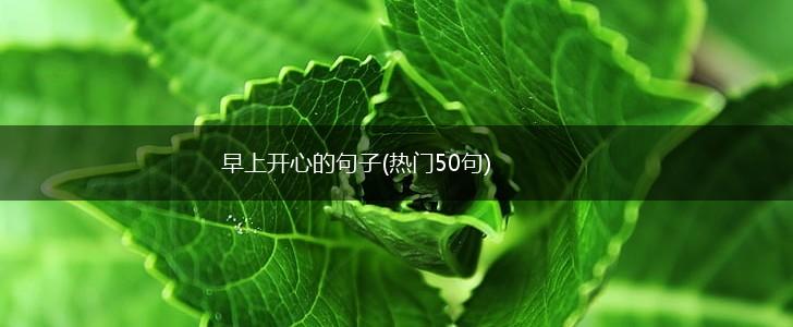 早上开心的句子(热门50句),第1张