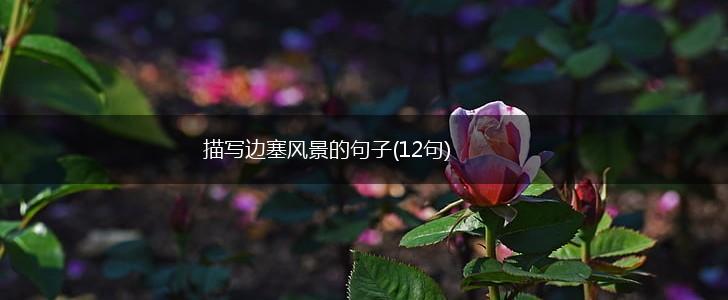 描写边塞风景的句子(12句),第1张