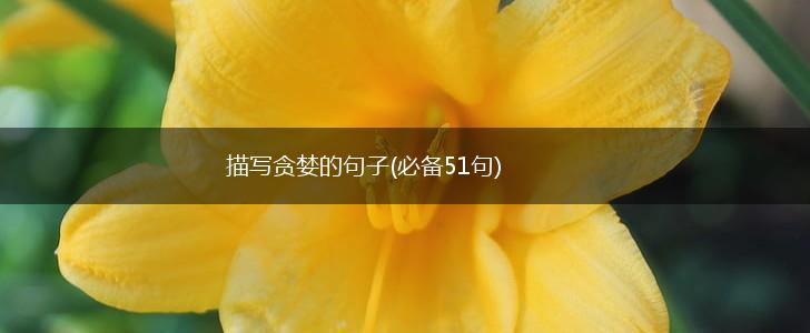 描写贪婪的句子(必备51句),第1张