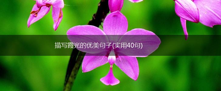 描写霞光的优美句子(实用40句),第1张
