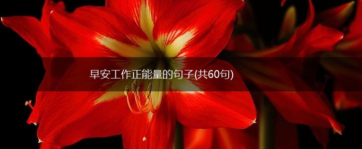 早安工作正能量的句子(共60句),第1张