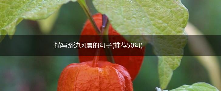描写路边风景的句子(推荐50句),第1张