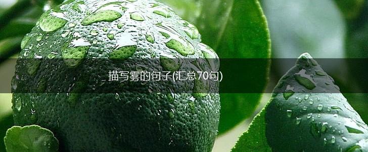 描写雾的句子(汇总70句),第1张