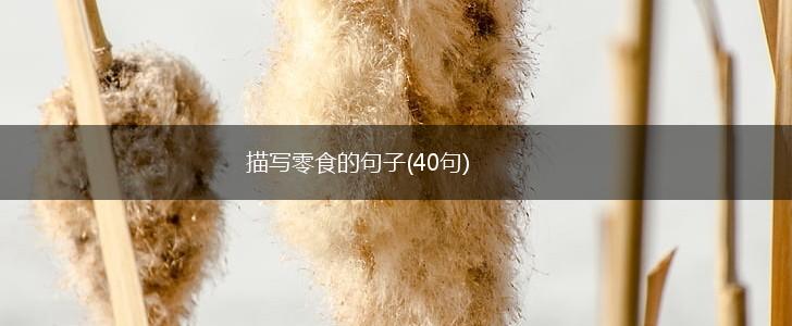 描写零食的句子(40句),第1张