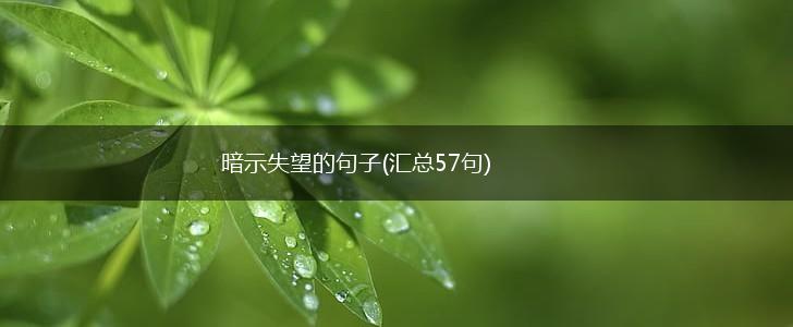 暗示失望的句子(汇总57句),第1张