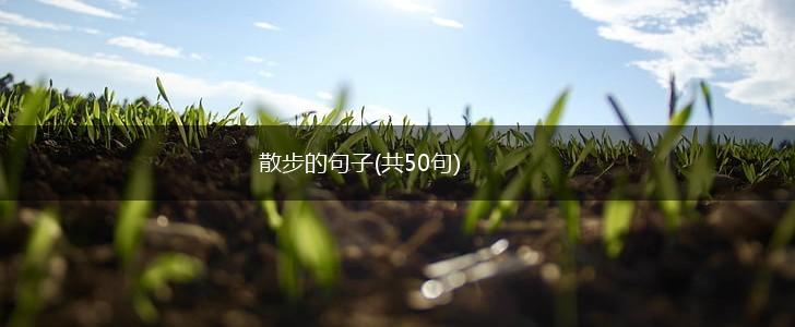 散步的句子(共50句),第1张