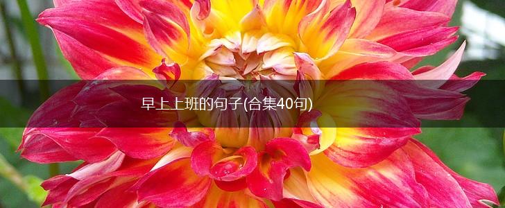 早上上班的句子(合集40句),第1张