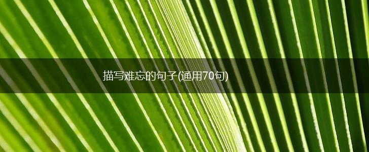 描写难忘的句子(通用70句),第1张