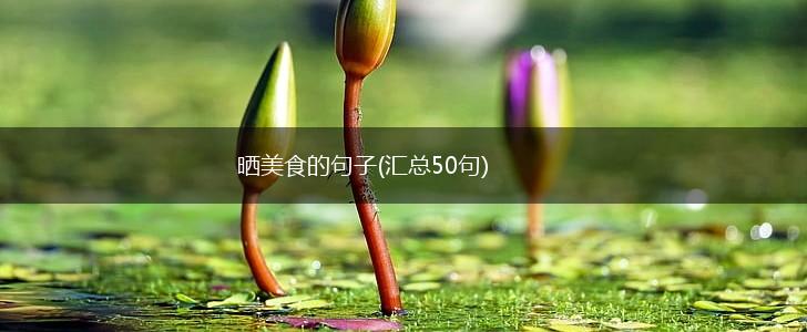 晒美食的句子(汇总50句),第1张