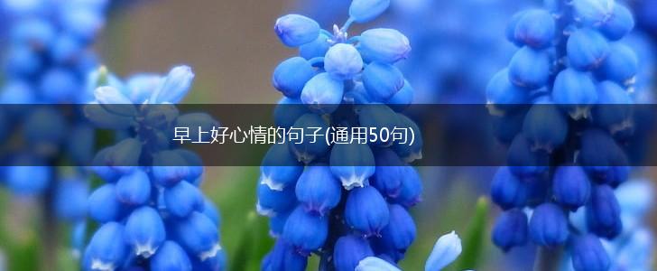 早上好心情的句子(通用50句),第1张