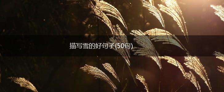描写雪的好句子(50句),第1张