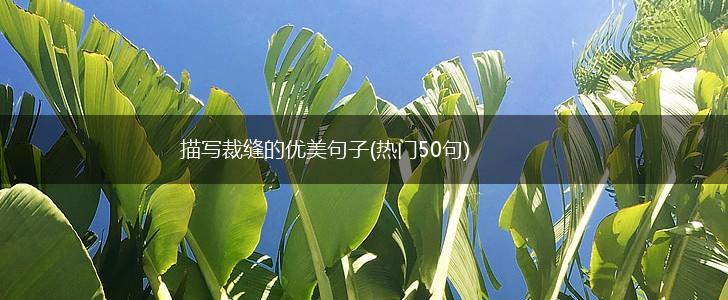 描写裁缝的优美句子(热门50句),第1张