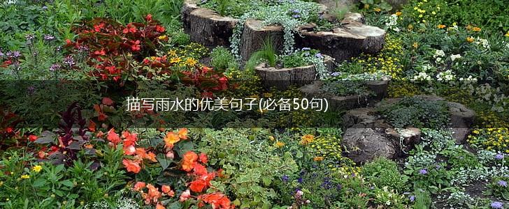 描写雨水的优美句子(必备50句),第1张