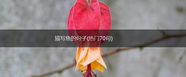 描写鱼的句子(热门70句),第1张
