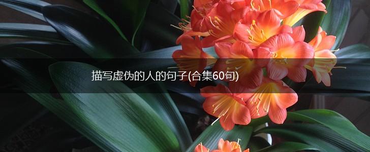 描写虚伪的人的句子(合集60句),第1张